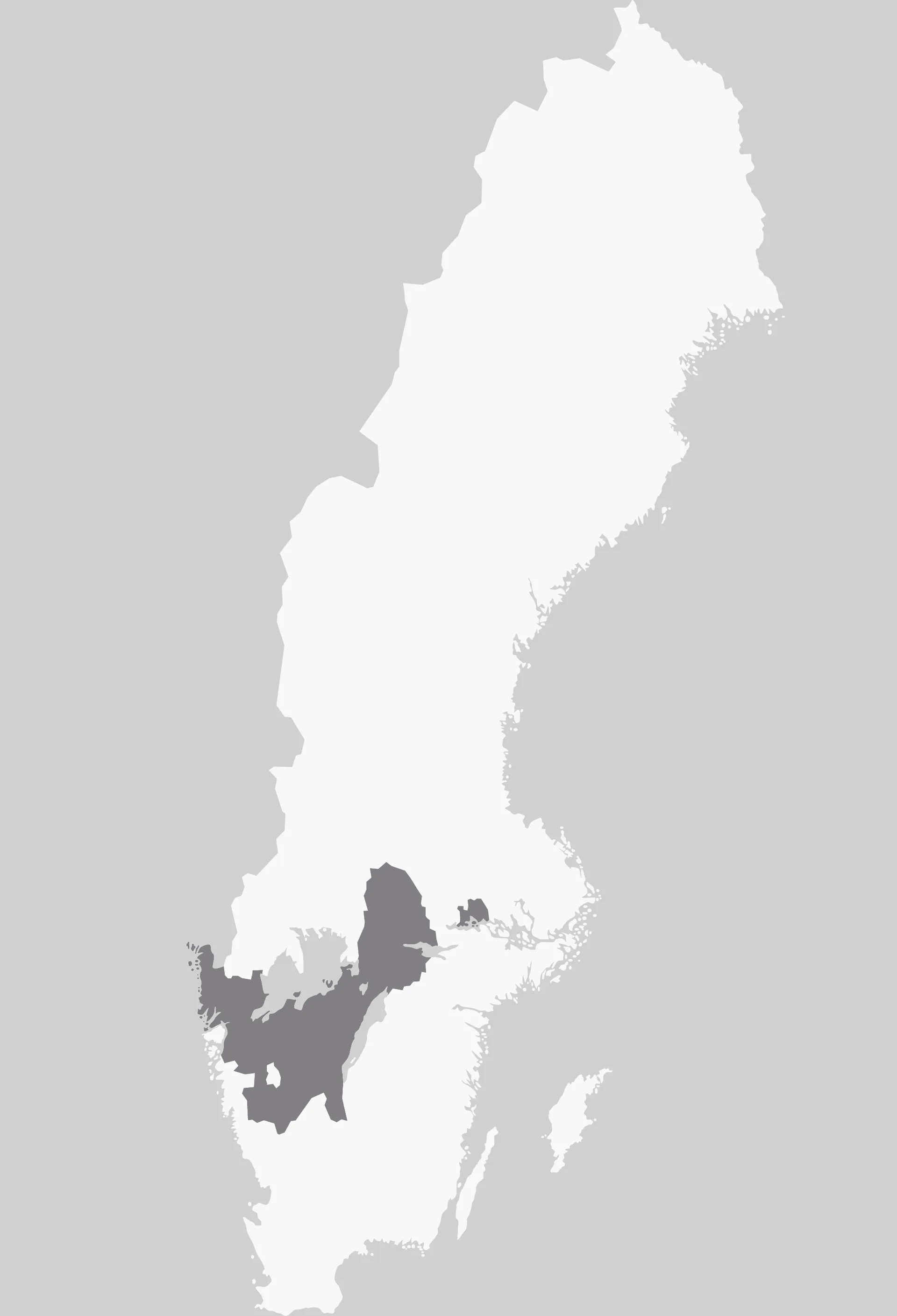 distrikt 11 grey magnus