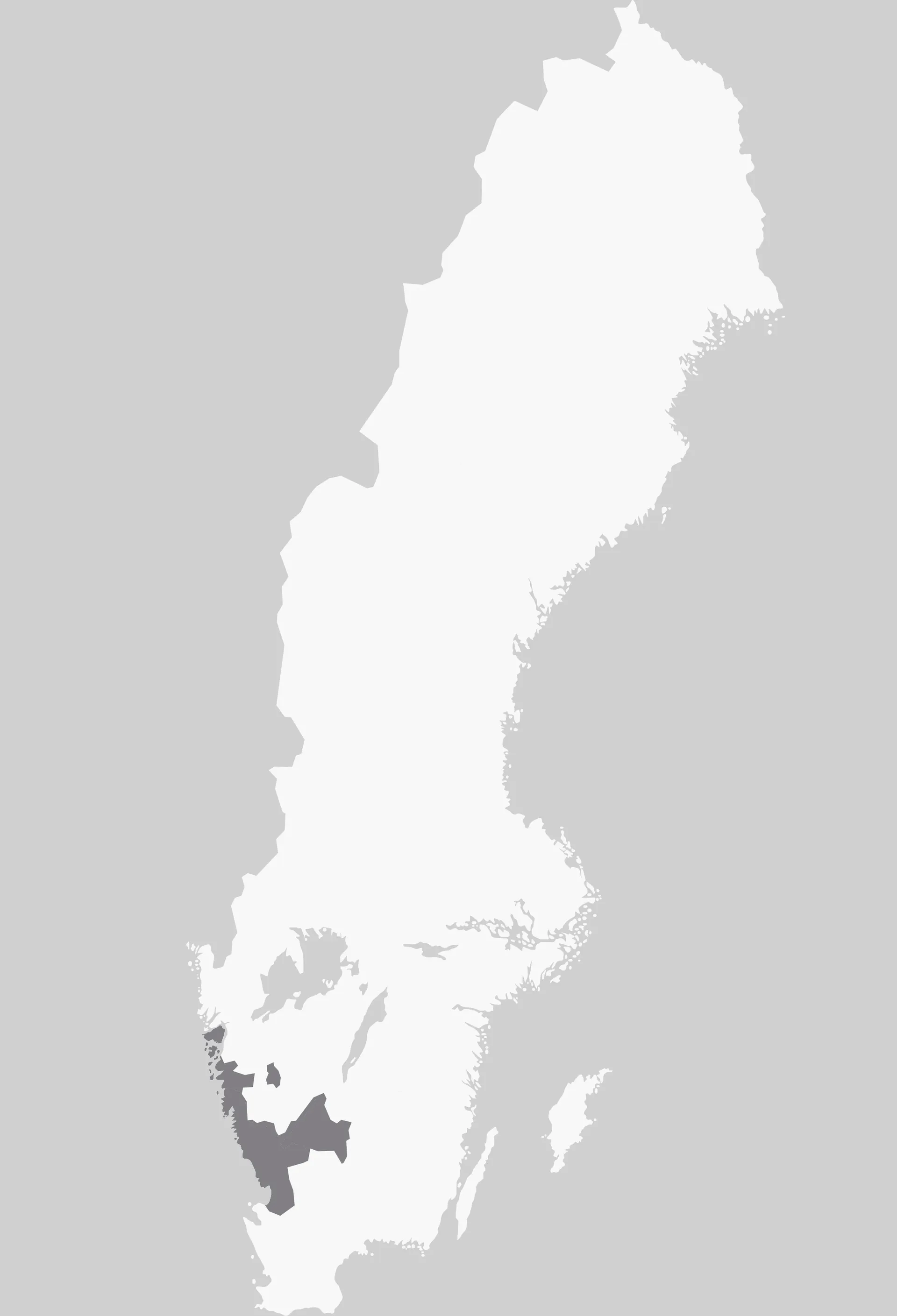 distrikt 12 grey jimmy