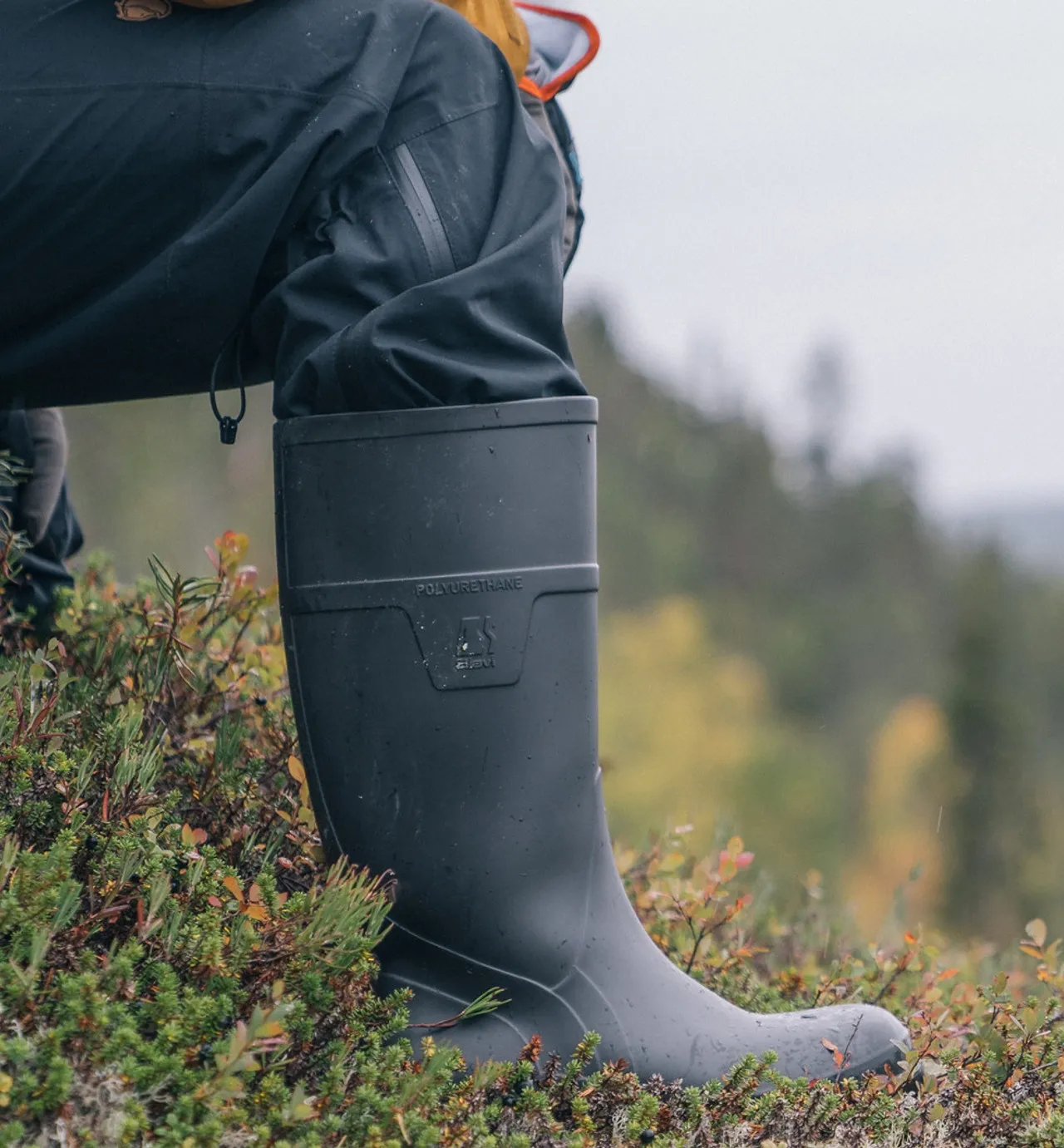 Lightboot Theme 41013 6000x2473